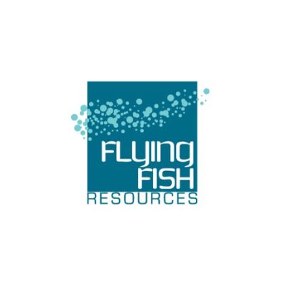 Nice Logo Design Gallery on Flying Fish Resources Logo   Logo Design Gallery Inspiration   Logomix