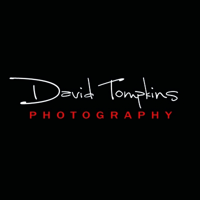 Logo Design  Orleans on David Tompkins Photography   Logo Design Gallery Inspiration   Logomix