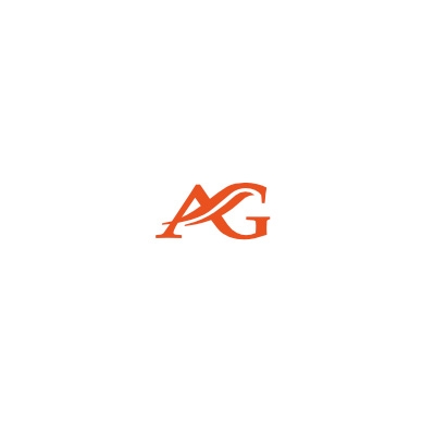 Заказать логотип агины. Логотип AG. Буквы AG для логотипа. Pvt AG логотип. Шаблон логотипа AG.