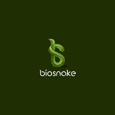 Biosnake Logo Design