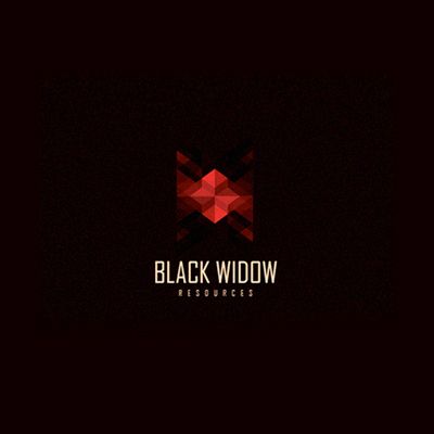 Black Widow | Logo Design Gallery Inspiration | LogoMix
