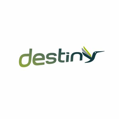 Destiny Logo Design