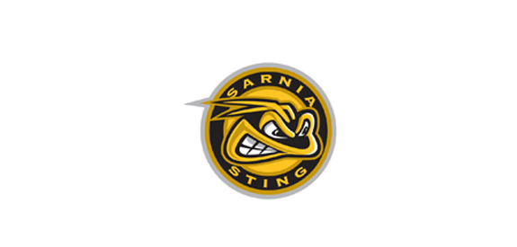 Sarnia Sting Logo  Sarnia, Hockey logos, Sports team logos